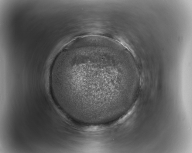 X0000088430101200706051237