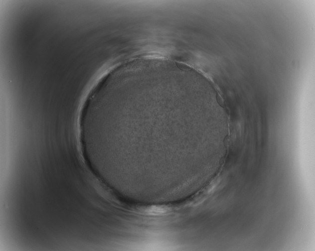 X0000088430102200706051237