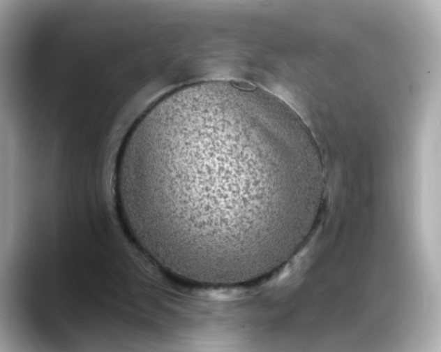 X0000088430103200706051237