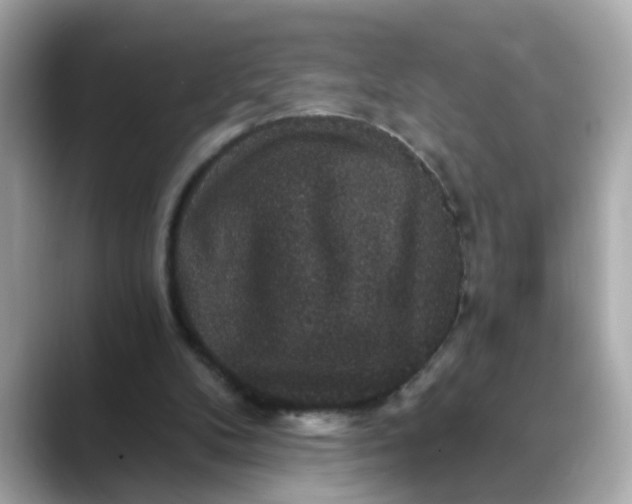 X0000088430104200706051237