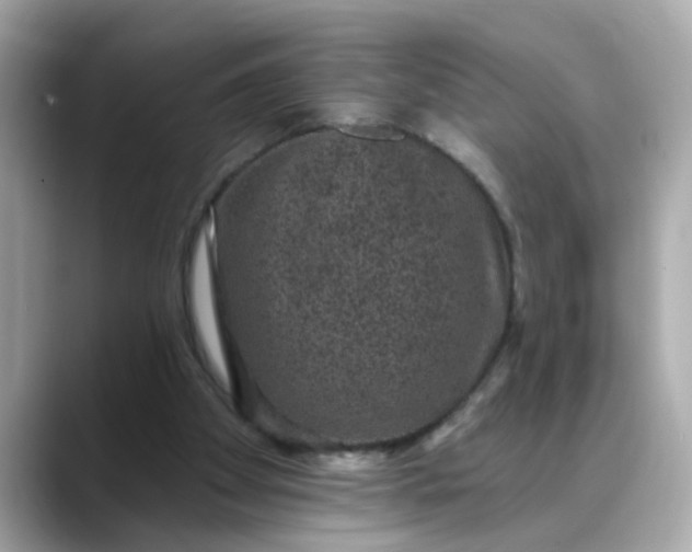 X0000088430105200706051237