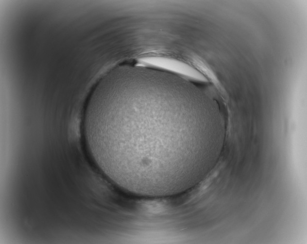 X0000088430106200706051237