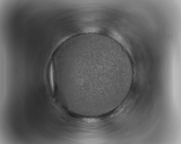 X0000088430107200706051237