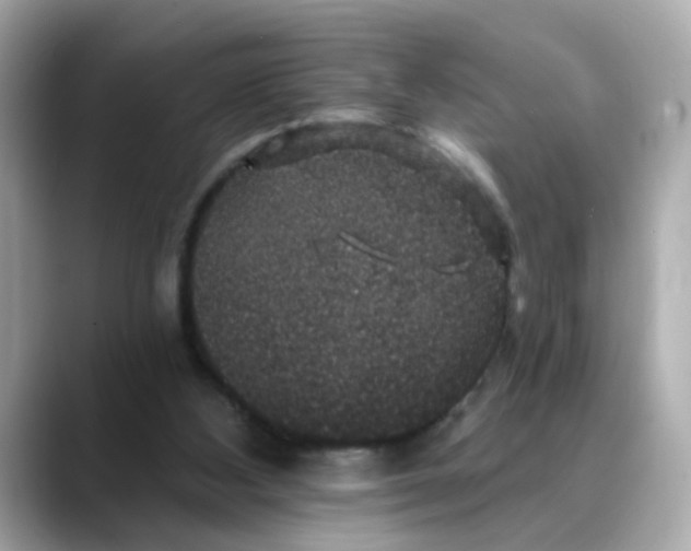 X0000088430108200706051237