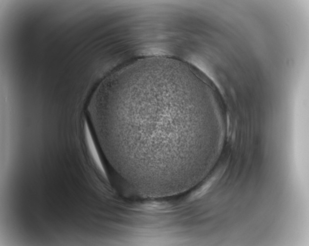 X0000088430109200706051237