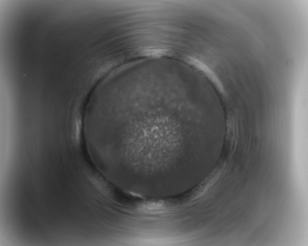 X0000088430110200706051237