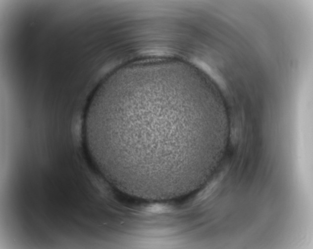 X0000088430111200706051237