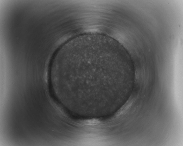 X0000088430112200706051237