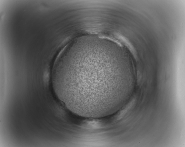 X0000088430113200706051237