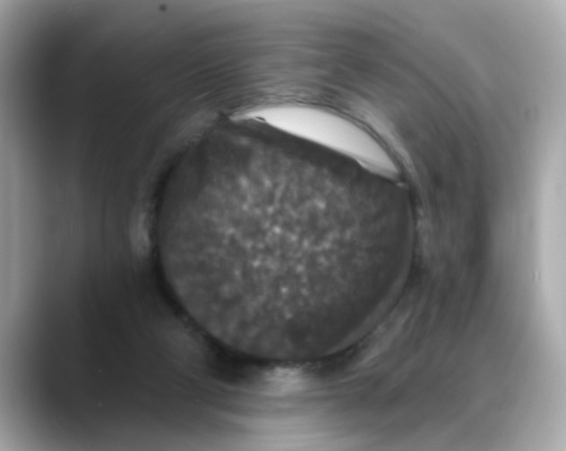 X0000088430114200706051237