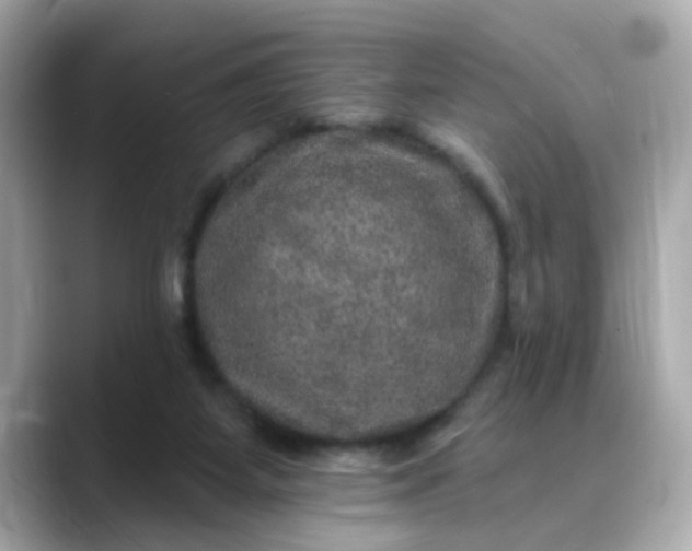 X0000088430115200706051237