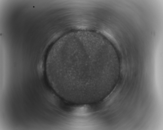 X0000088430116200706051237