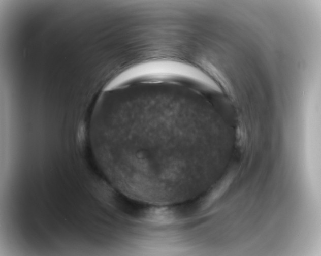 X0000088430117200706051237