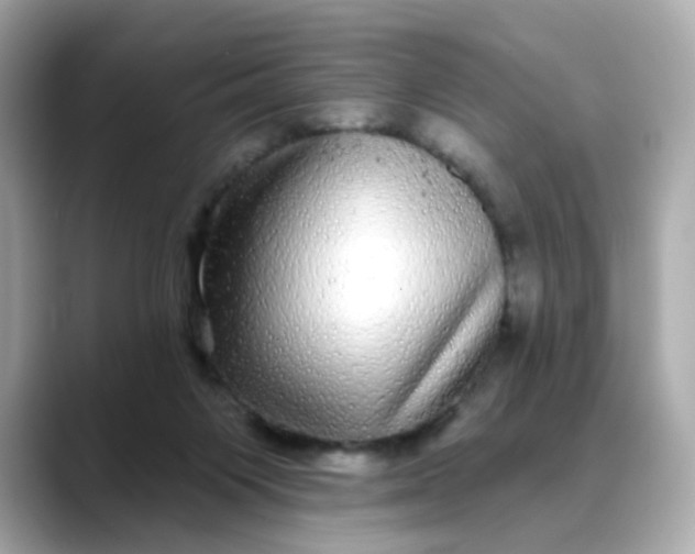 X0000088430119200706051237