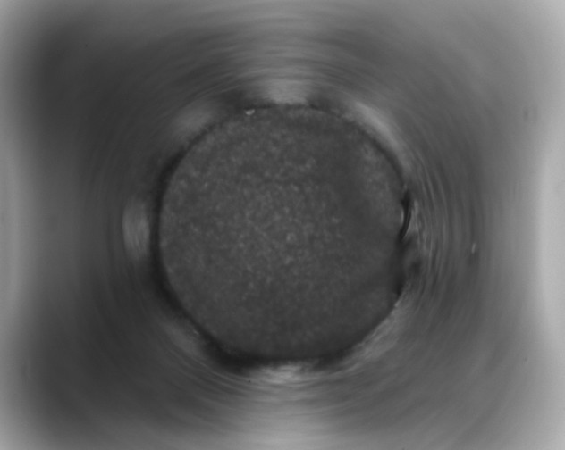 X0000088430120200706051237