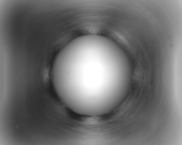 X0000088430122200706051237