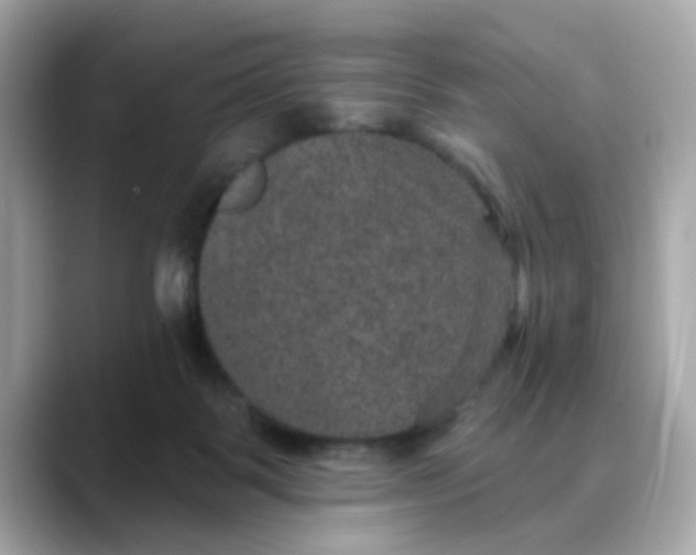 X0000088430123200706051237