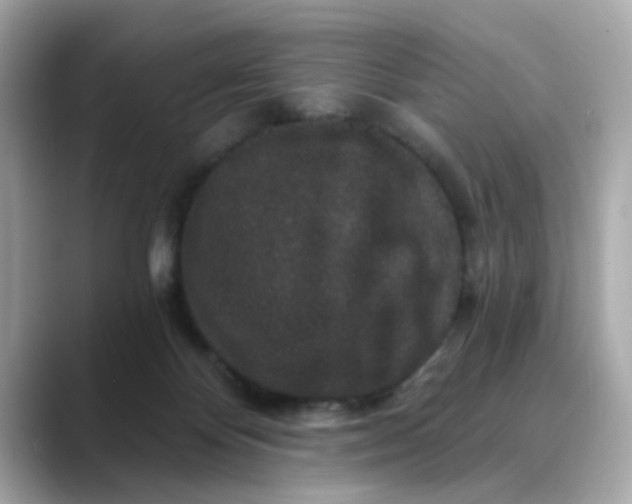 X0000088430124200706051237