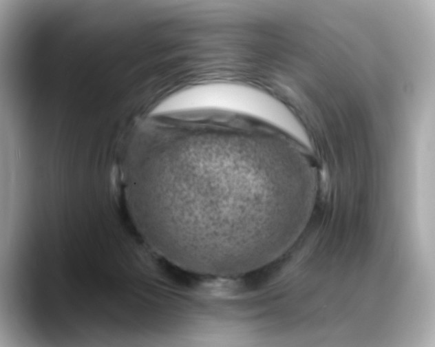 X0000088430125200706051237