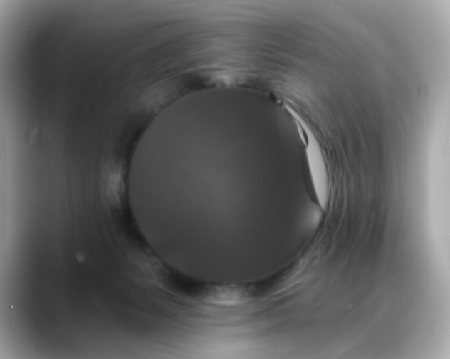 X0000088430127200706051237