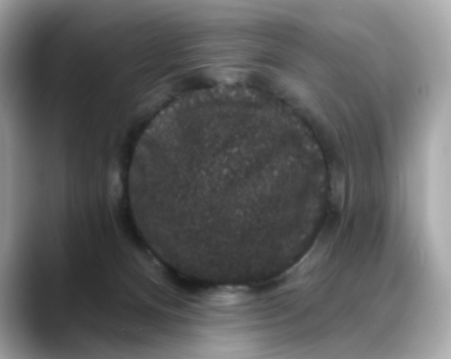 X0000088430128200706051237