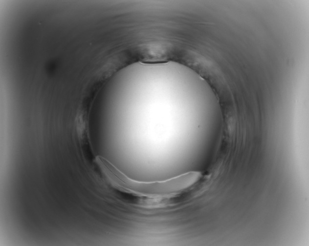 X0000088430129200706051237