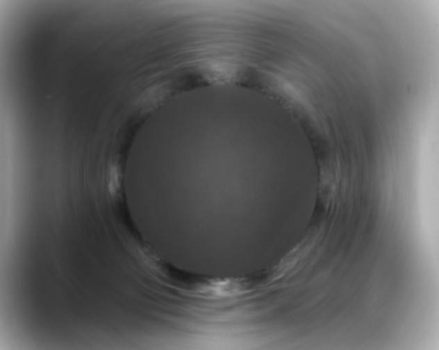 X0000088430130200706051237