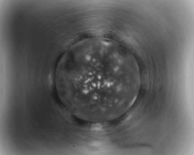 X0000088430131200706051237