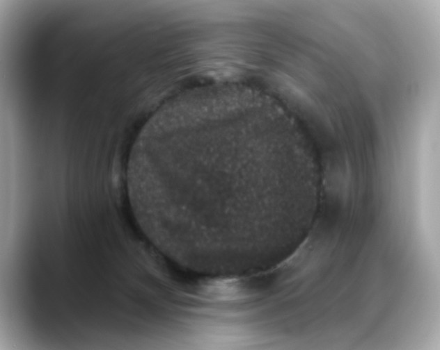 X0000088430132200706051237