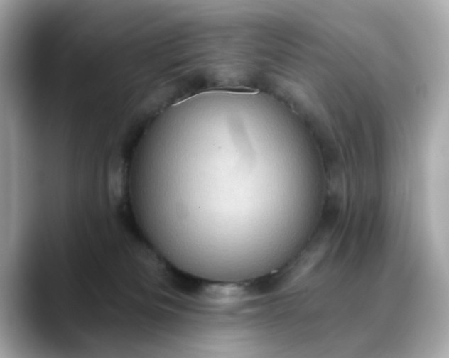 X0000088430133200706051237