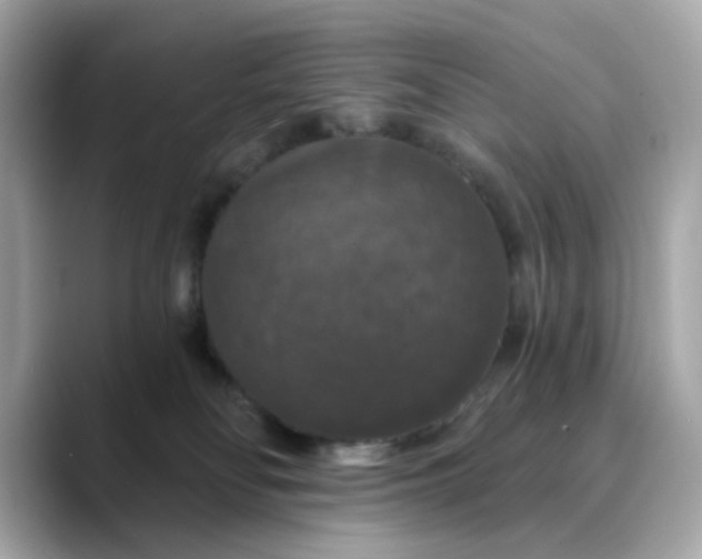 X0000088430134200706051237