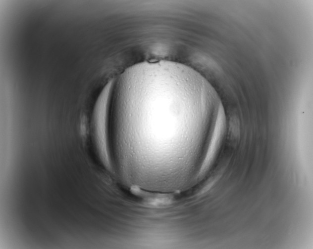 X0000088430135200706051237