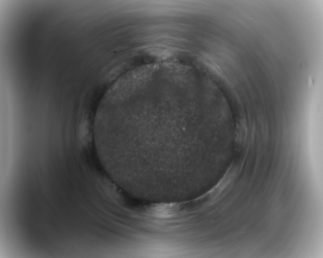 X0000088430136200706051237