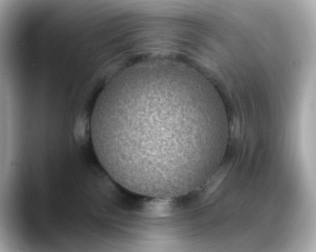 X0000088430138200706051237