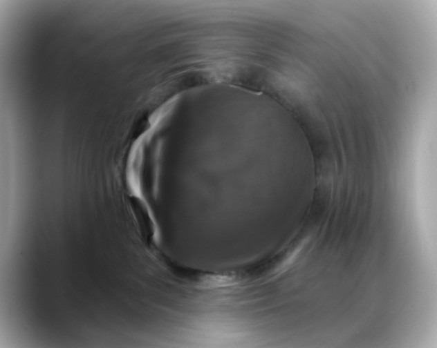 X0000088430139200706051237