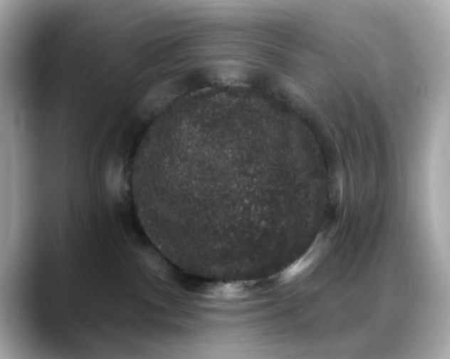 X0000088430140200706051237