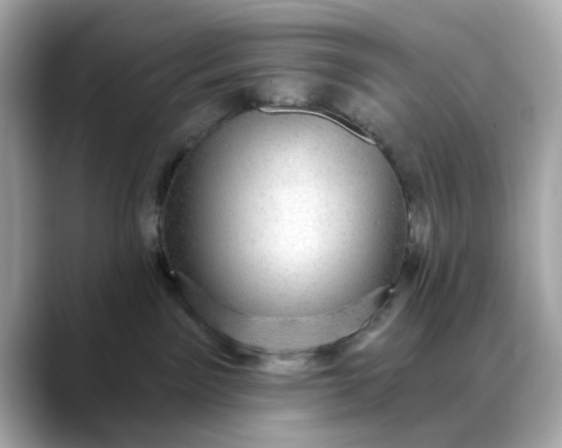 X0000088430141200706051237