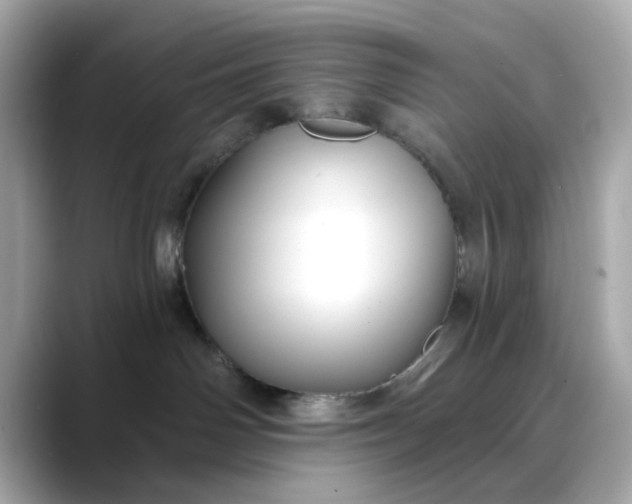 X0000088430142200706051237