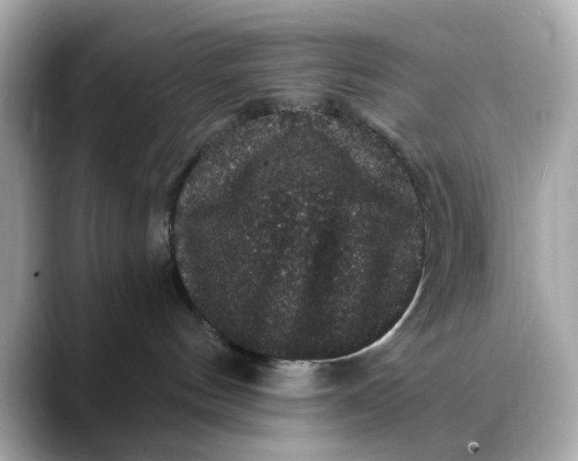 X0000088430144200706051237