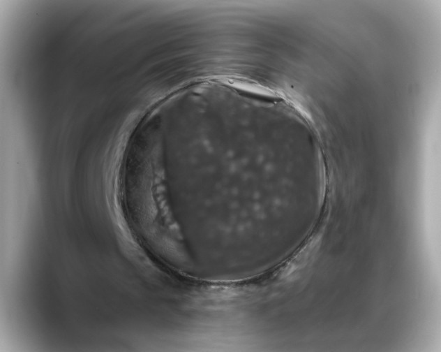 X0000088430145200706051236