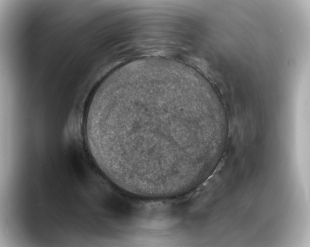 X0000088430146200706051236