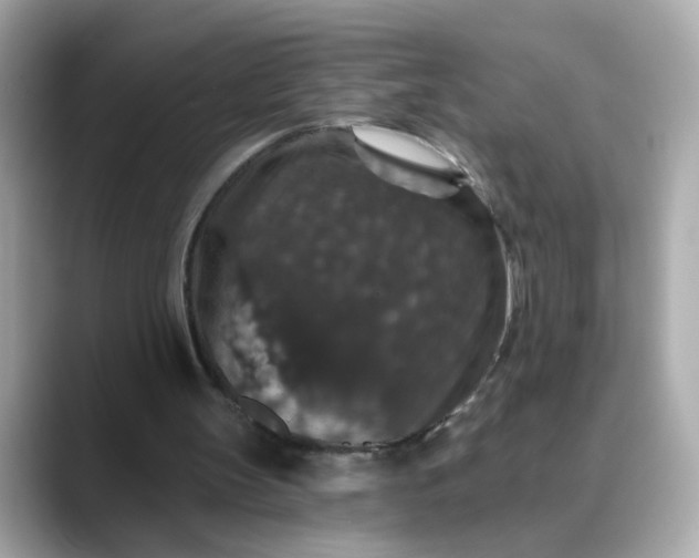 X0000088430147200706051236