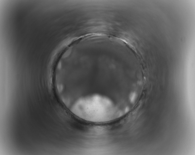 X0000088430149200706051236