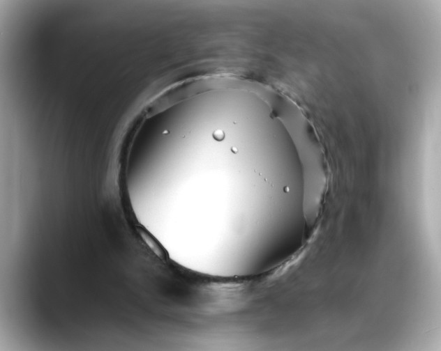 X0000088430150200706051236