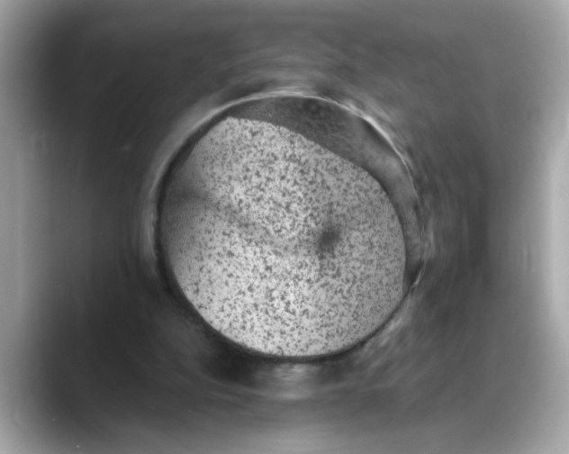 X0000088430152200706051236