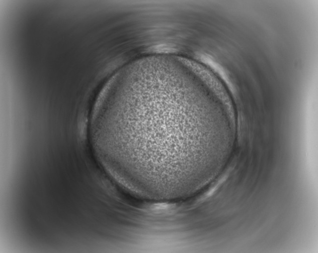 X0000088430153200706051236