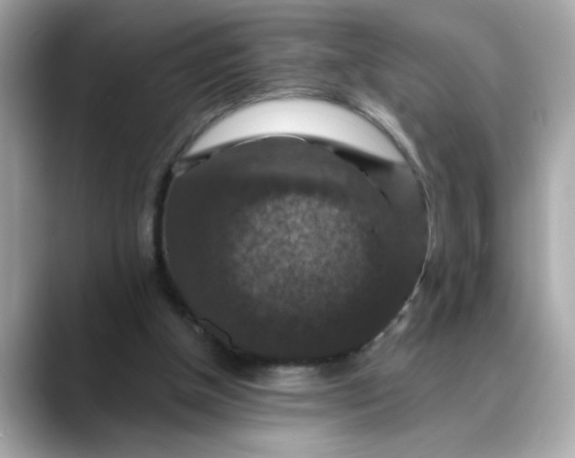 X0000088430154200706051236