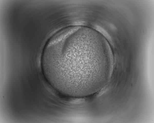 X0000088430155200706051236