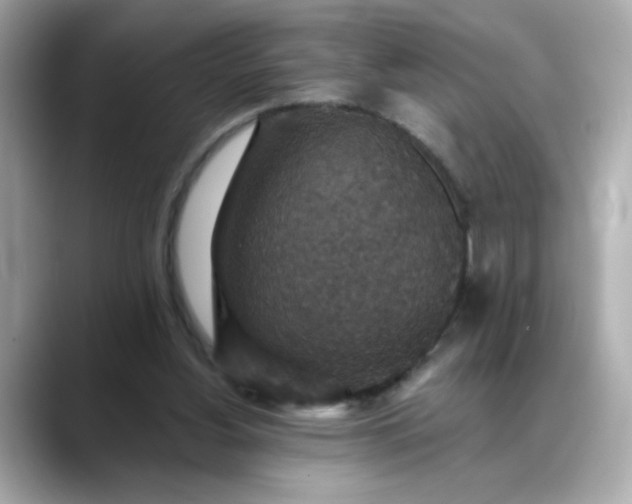 X0000088430156200706051236