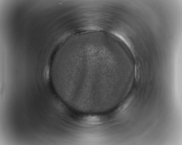 X0000088430157200706051236